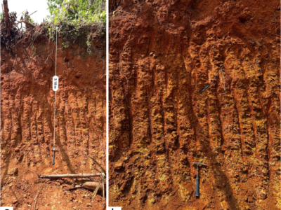 12371_2023_804_Fig6_HTML