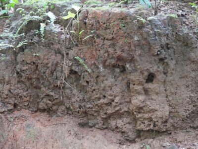 Q_2mAY5XvVU3NQA2yhzpE_k2lKWFWWtdg5CJN6wfvpiKKDEfWgP0QrUsmDXAv6hU3qaBQ8v9zEXH2pRN4RyrOYxMcodLv6wSXEvh8DpBV2Y