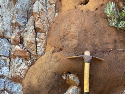 photo1_foster-webpage_Courtney Creamer